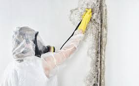 Mold Remediation for Vacation Homes in Omega, GA